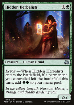 Hidden Herbalists